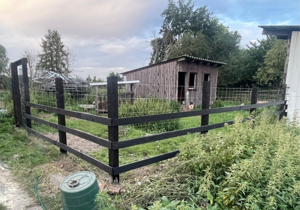 Pferde auf dem Gnadenhof fressen gemeinsam Heu von einem großen Ballen.